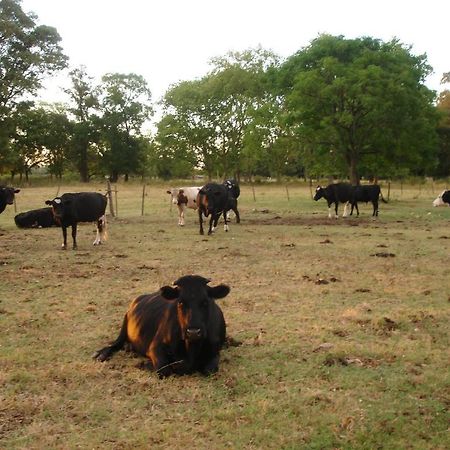 Hotel De Campo La Morena Ezeiza Eksteriør billede