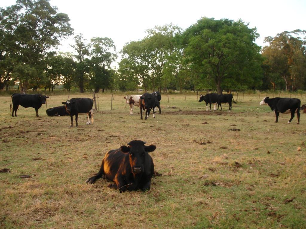 Hotel De Campo La Morena Ezeiza Eksteriør billede